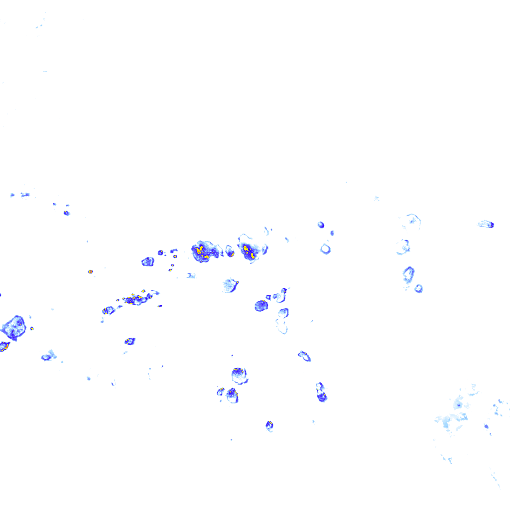 rainLayer