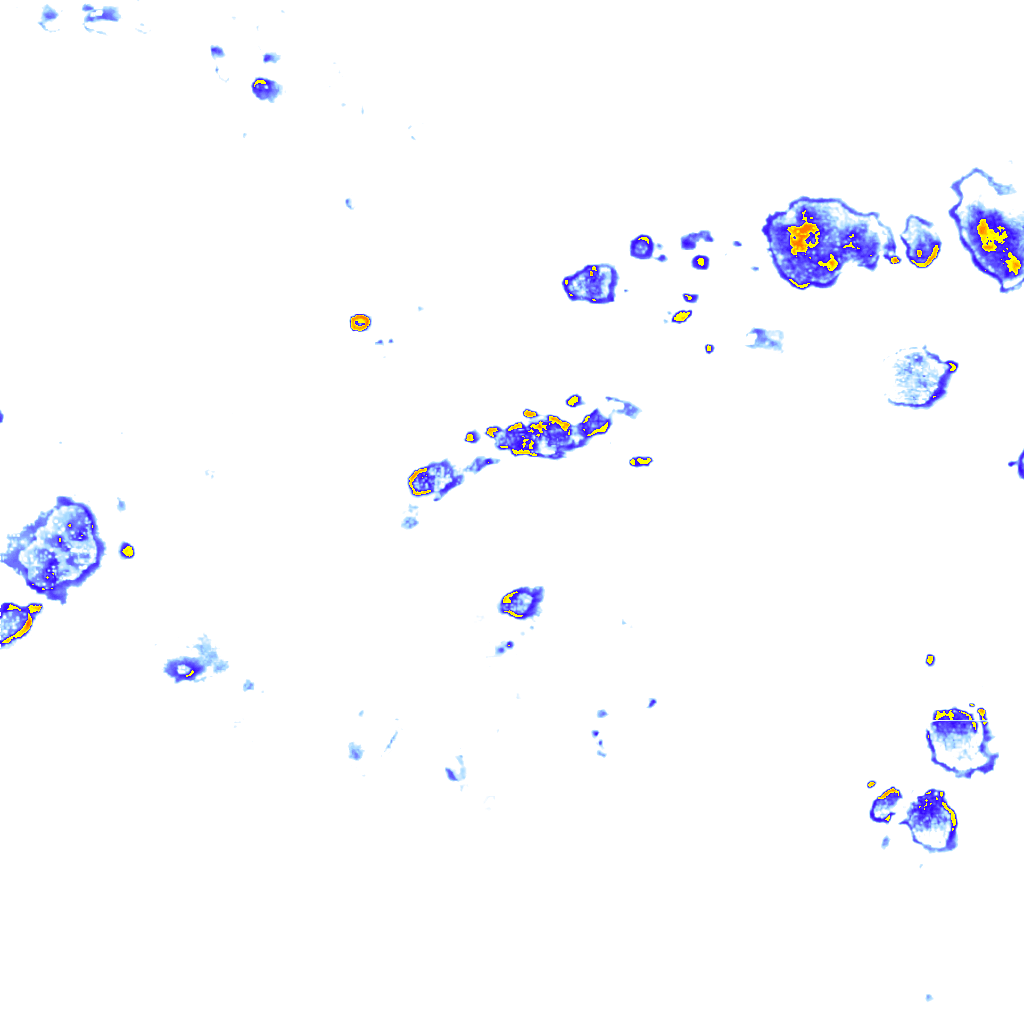 Image Layer