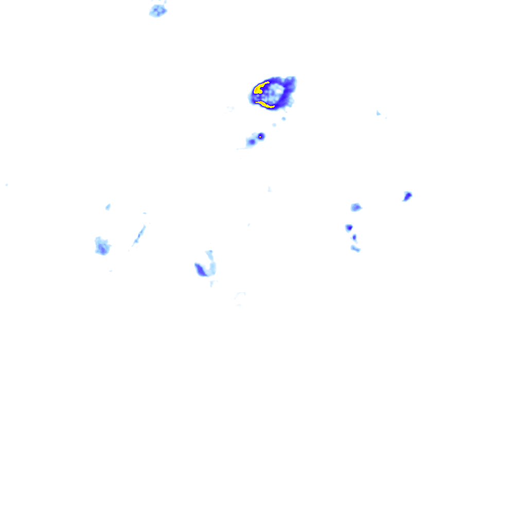 rainLayer