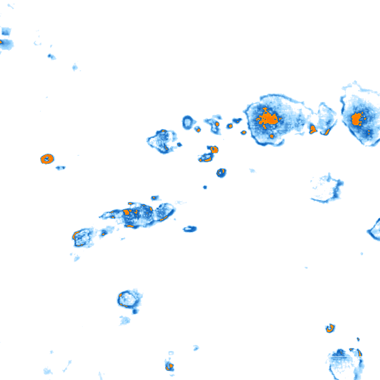 rain layer
