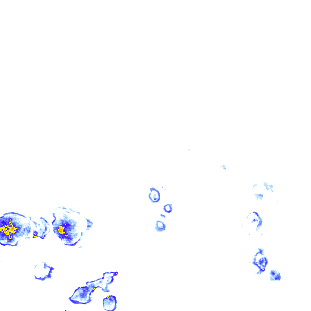 rainLayer