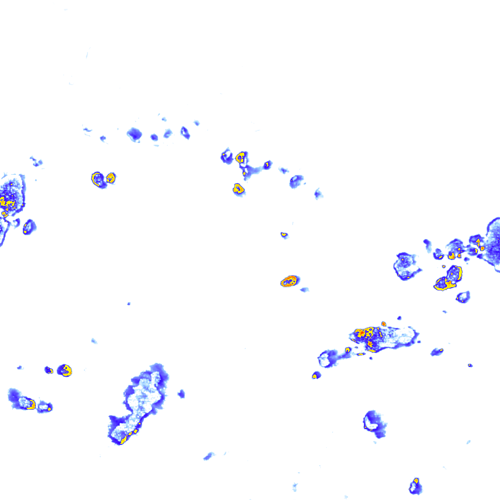 rainLayer
