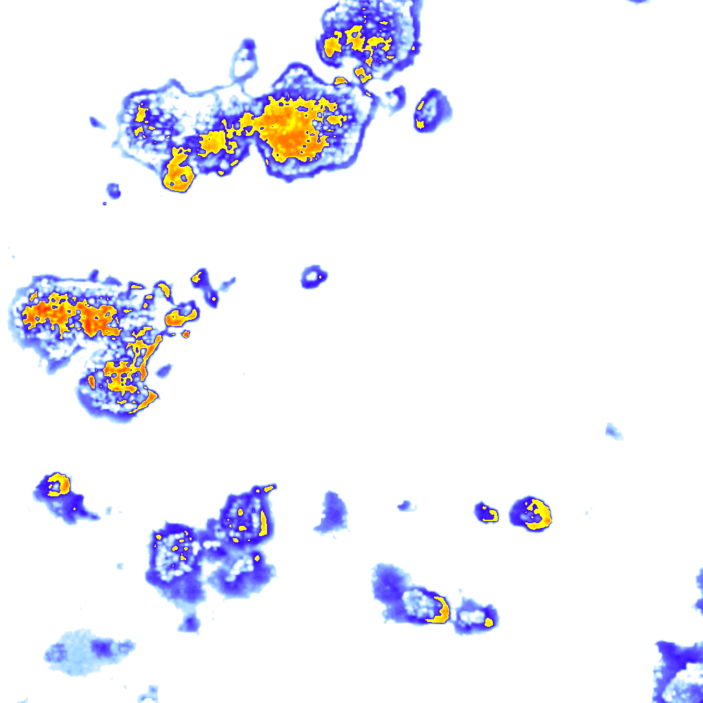Image Layer