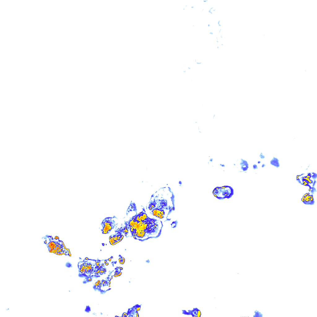 rainLayer