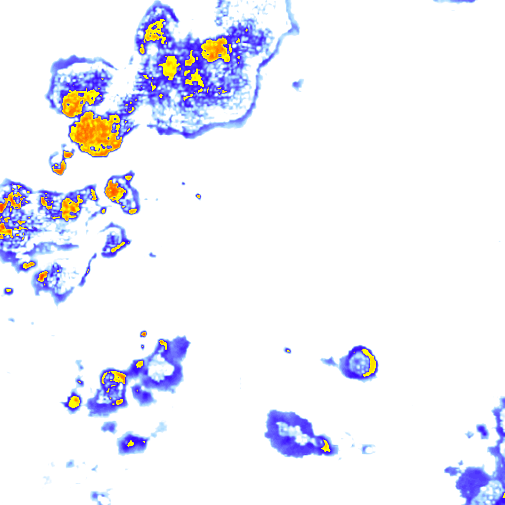 Image Layer