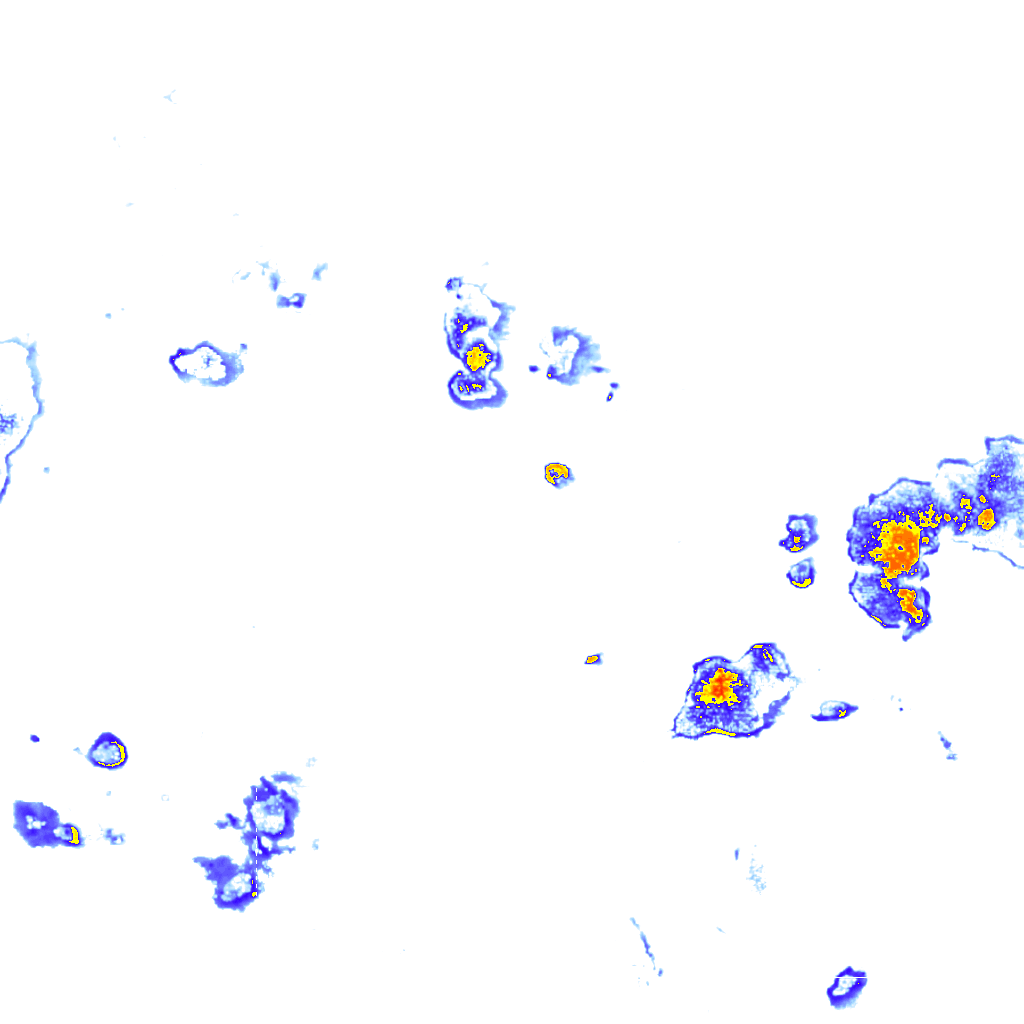 rainLayer
