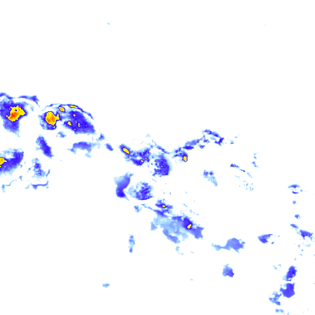 rainLayer