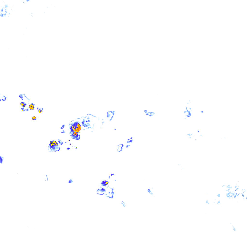 rainLayer