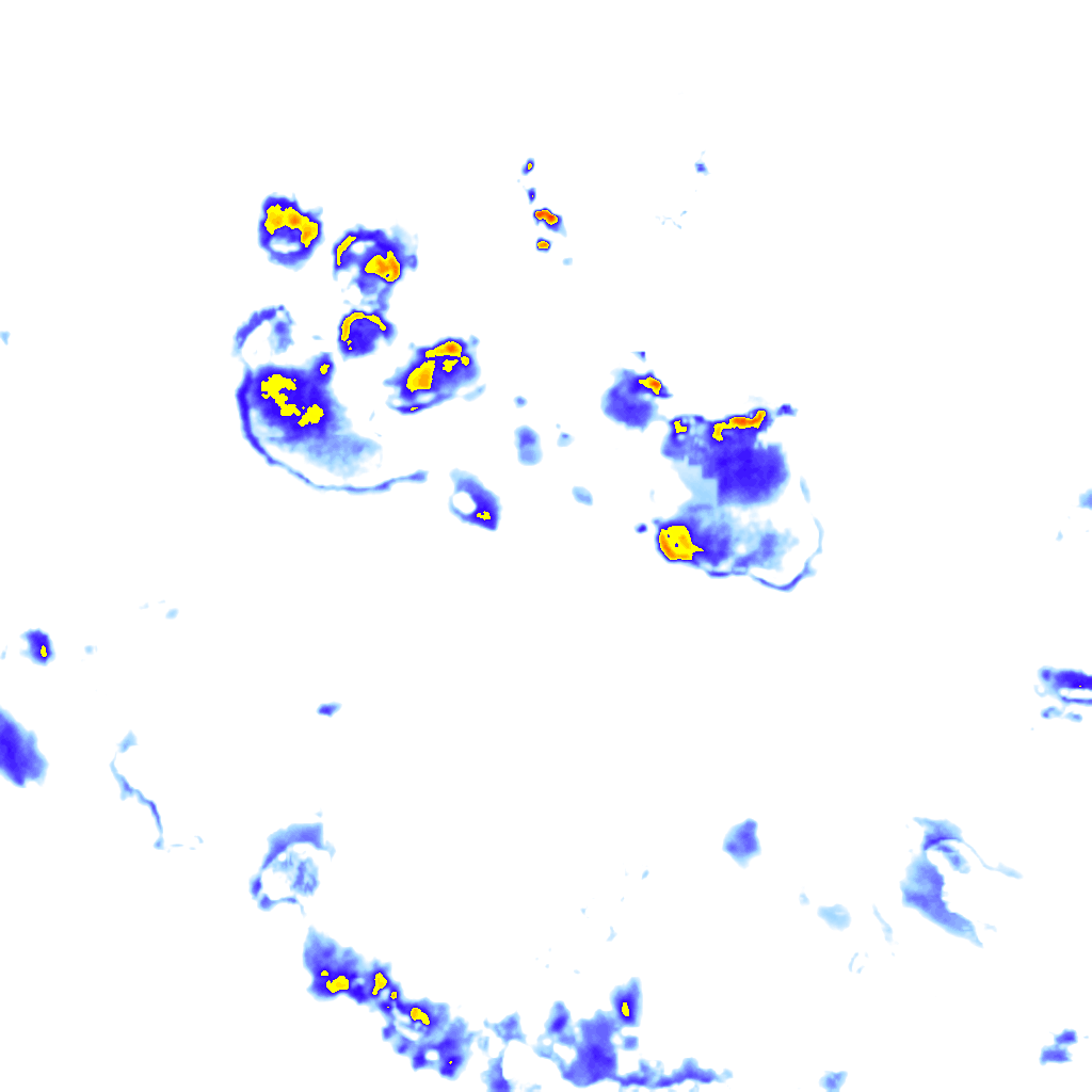 rainLayer