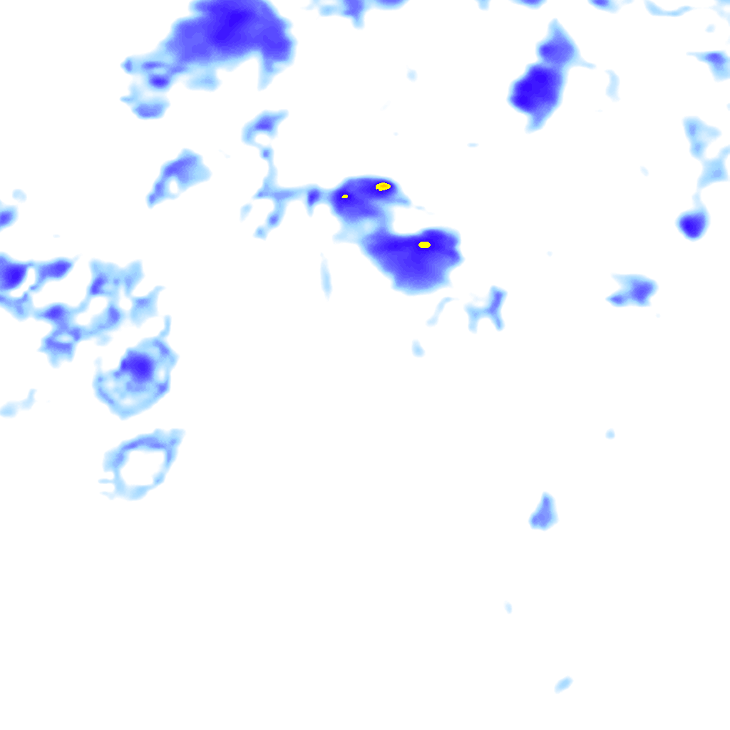 rainLayer