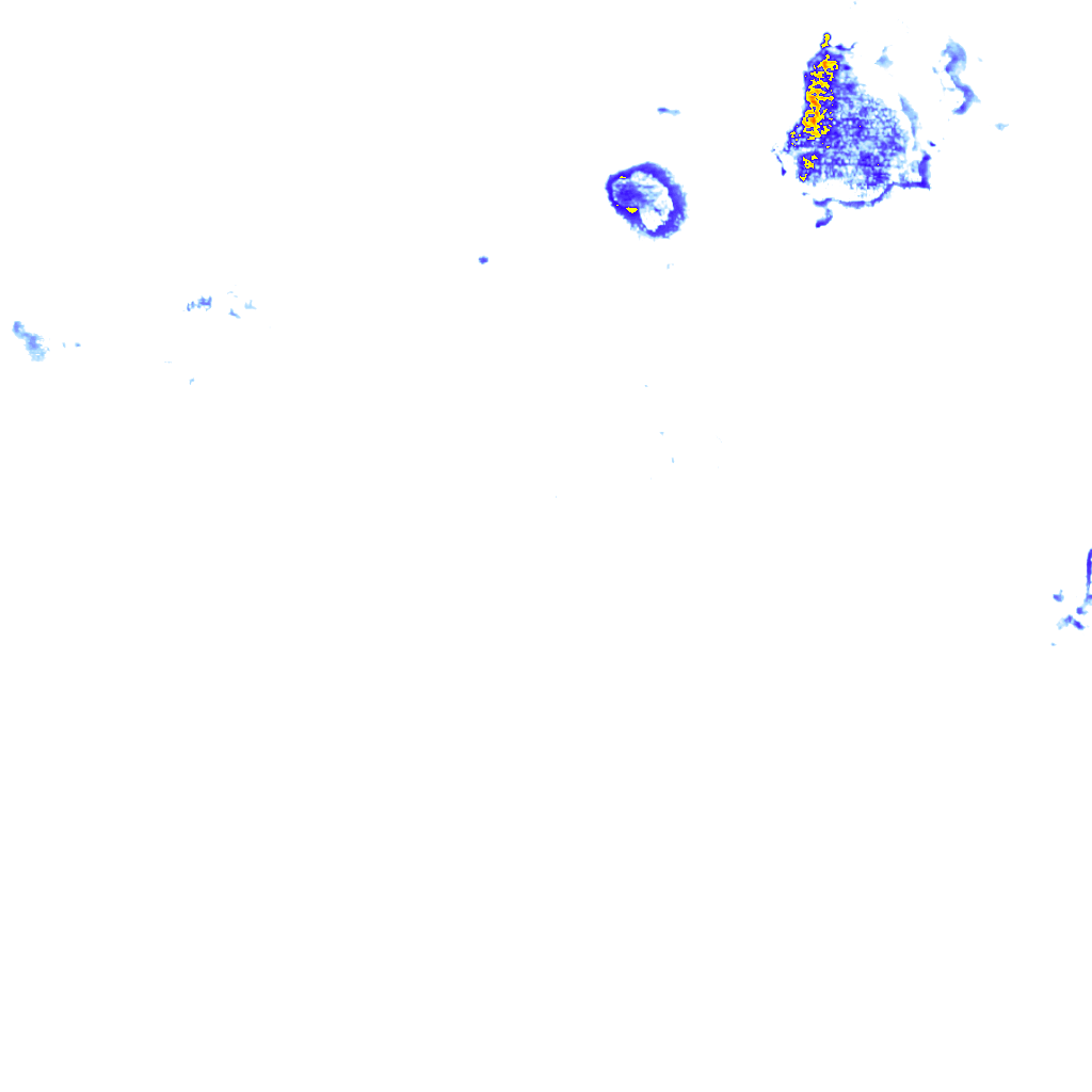 rainLayer