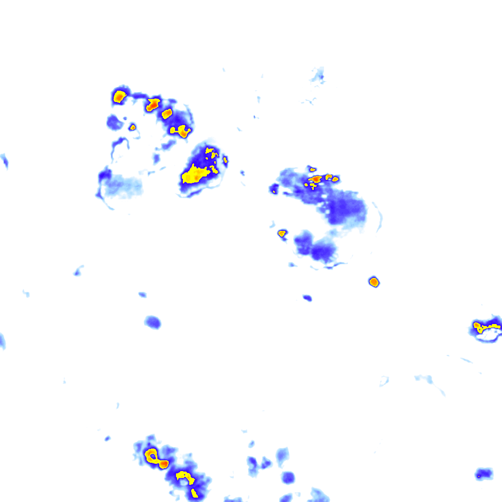 rainLayer
