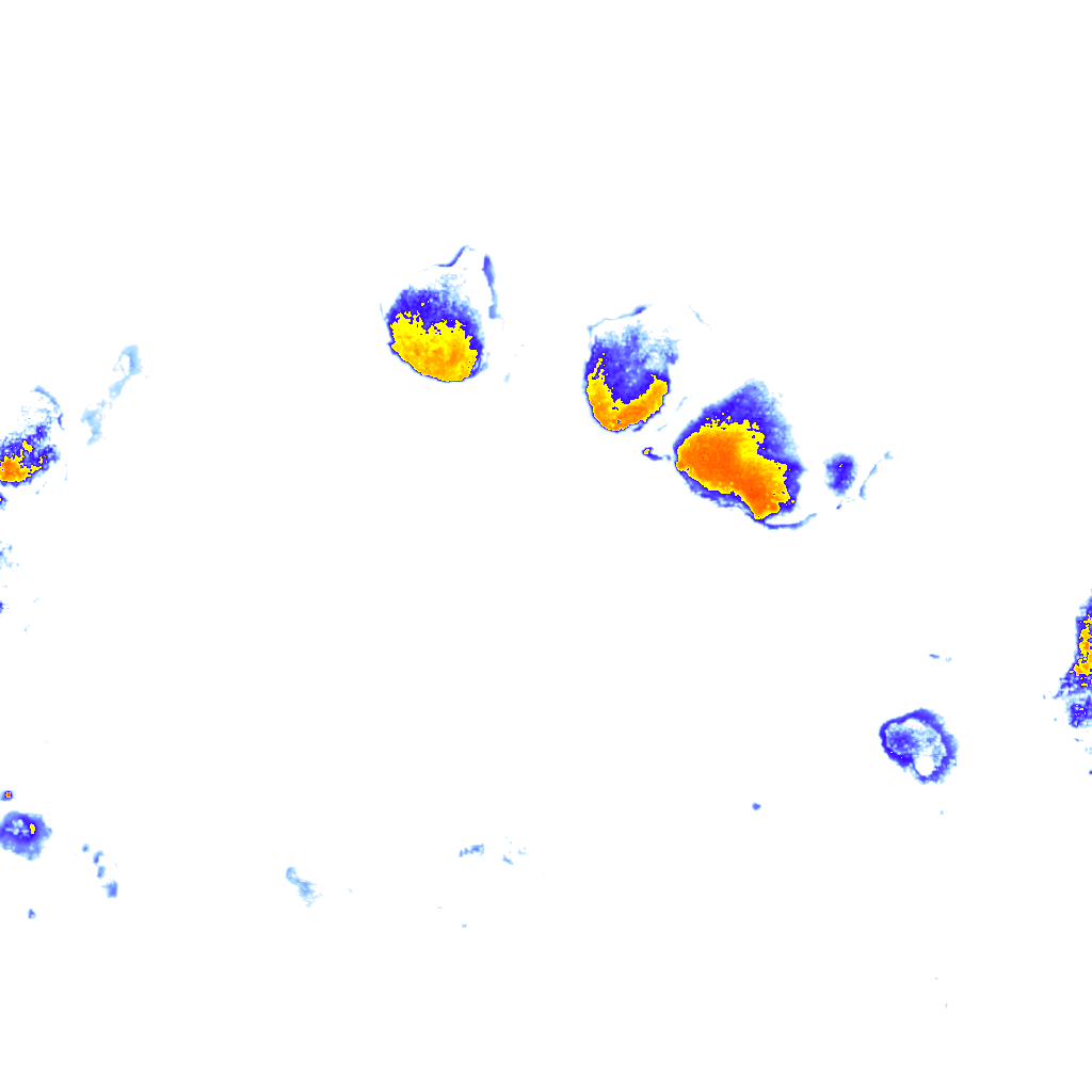 rainLayer