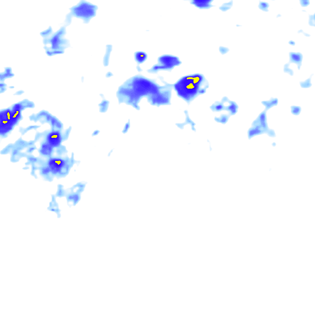 rainLayer