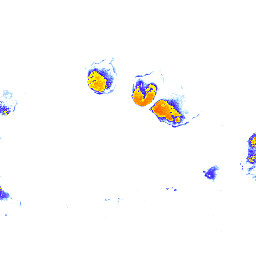 Image Layer