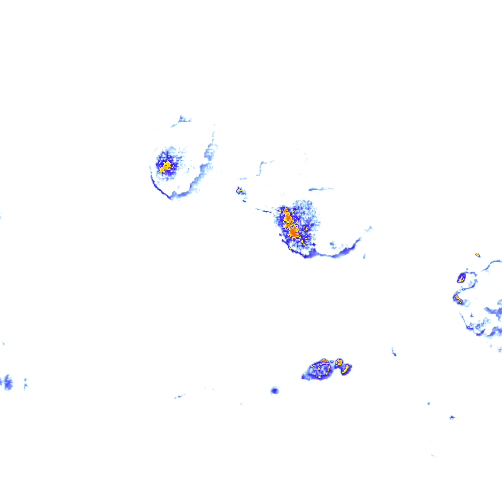 rainLayer
