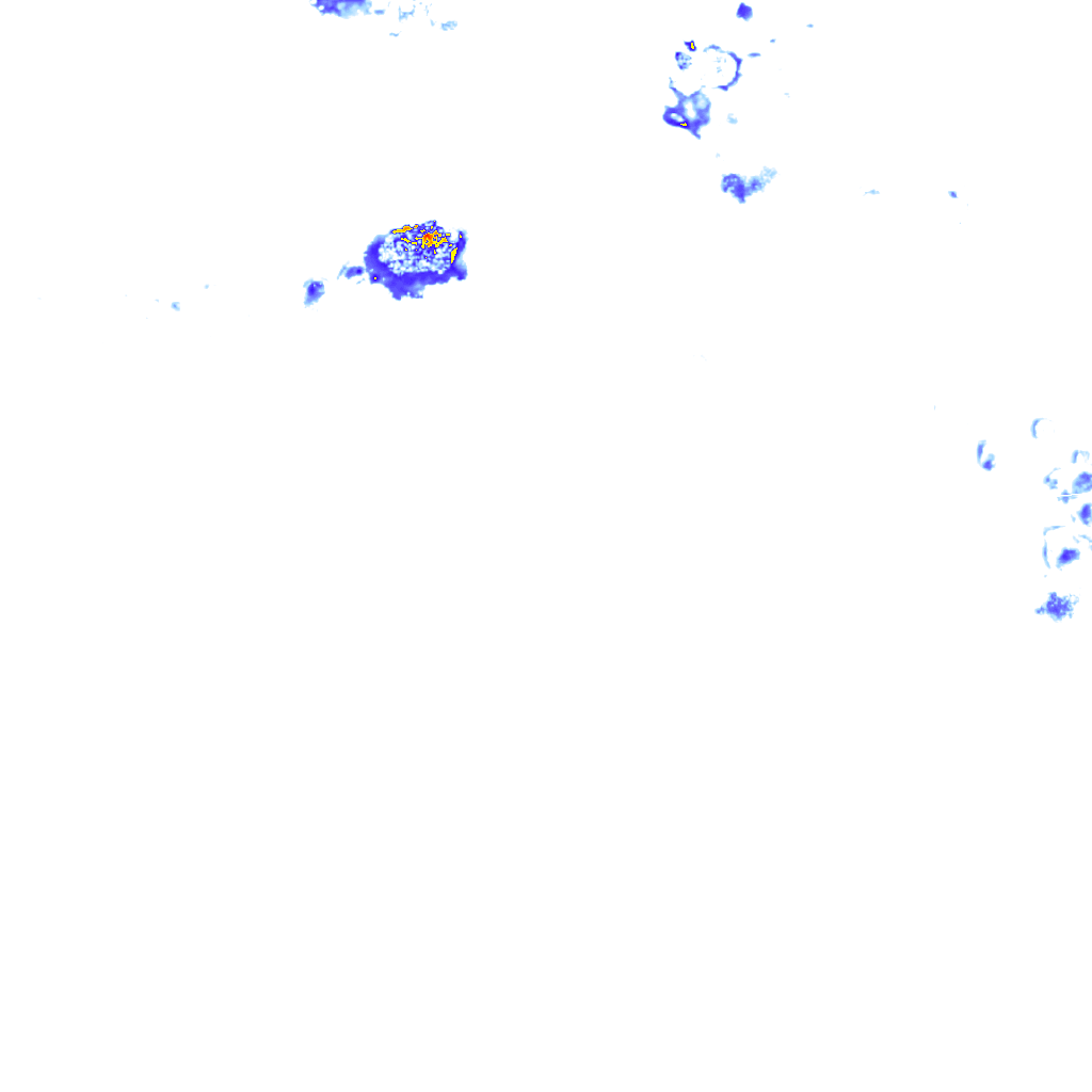 rainLayer