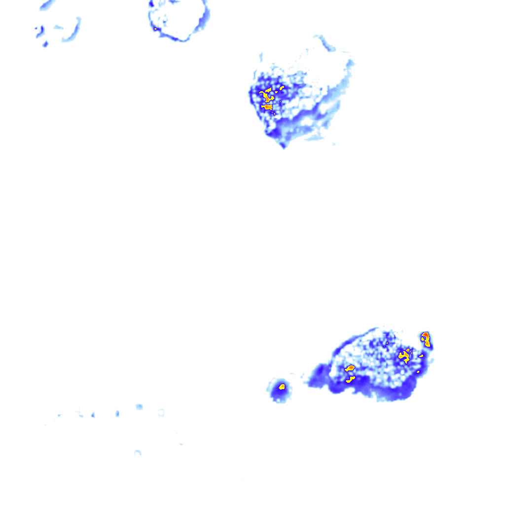 Image Layer