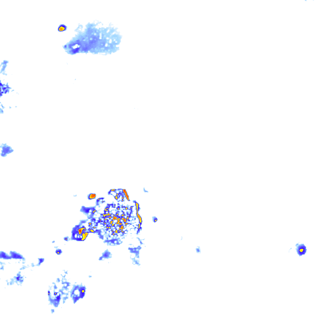 rainLayer