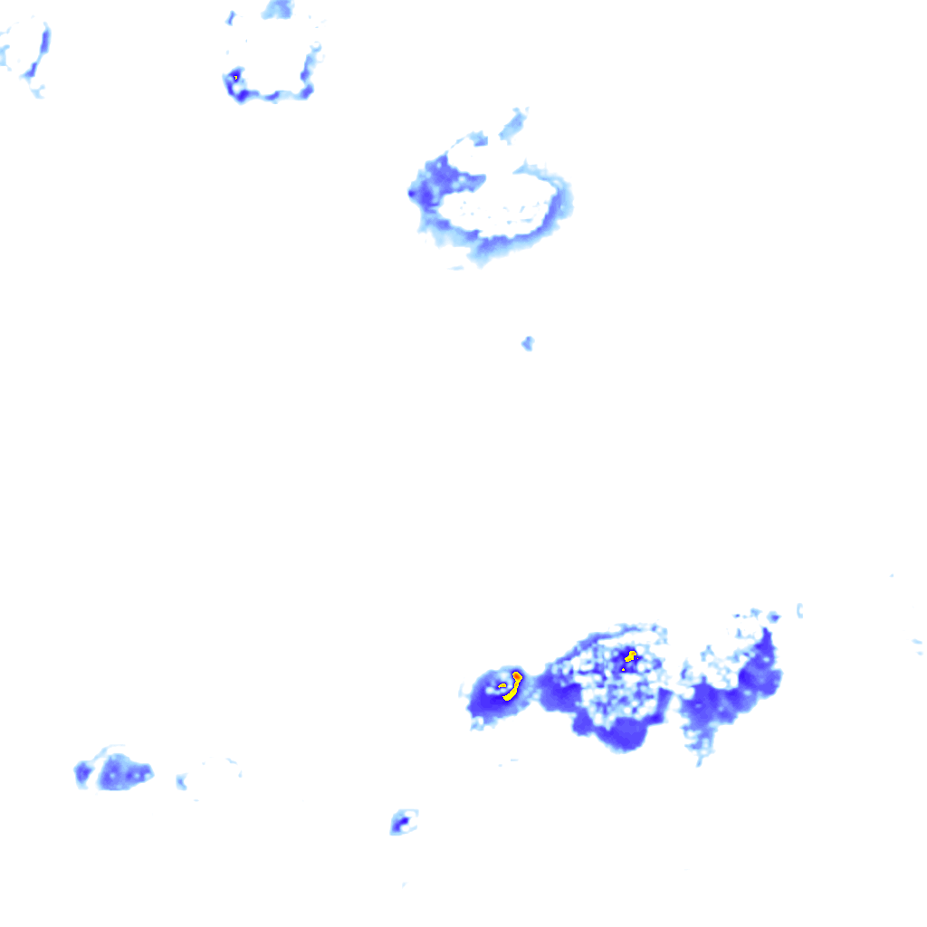 rainLayer