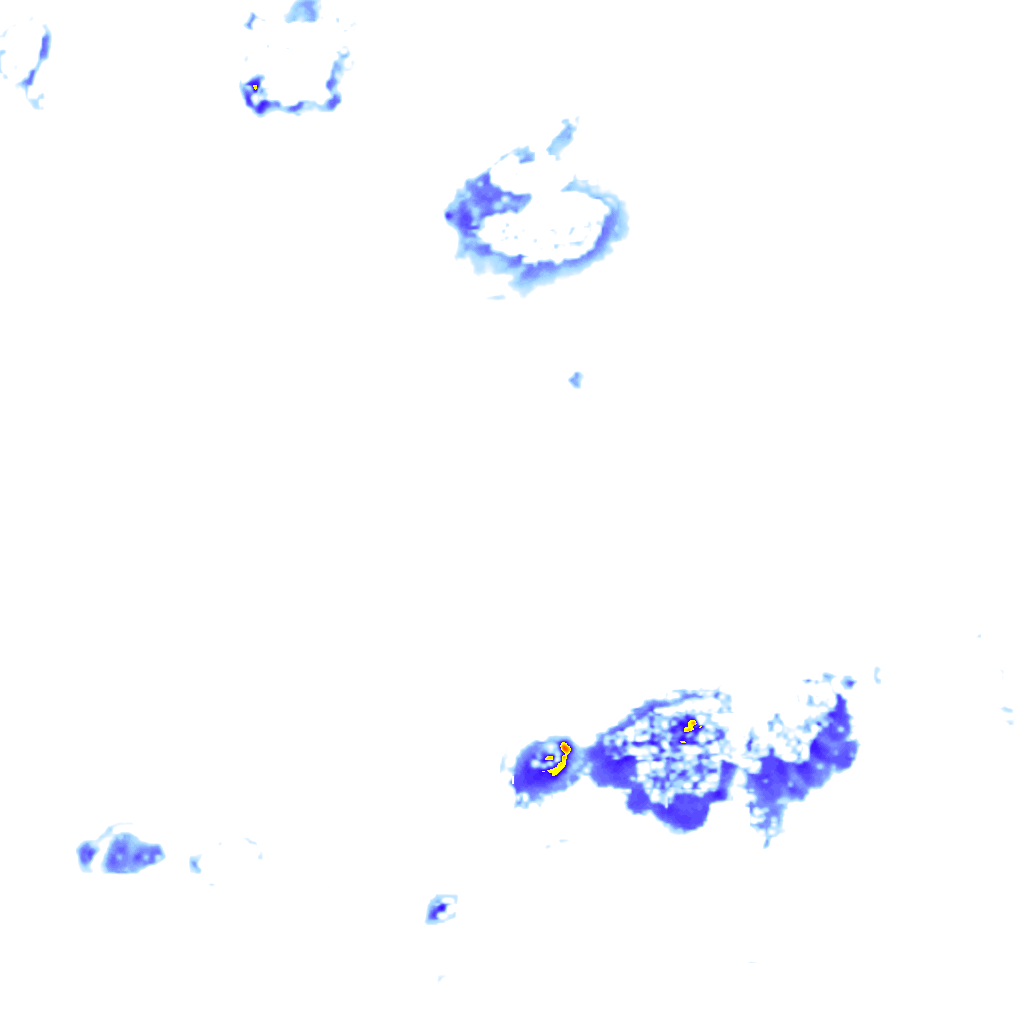 rainLayer