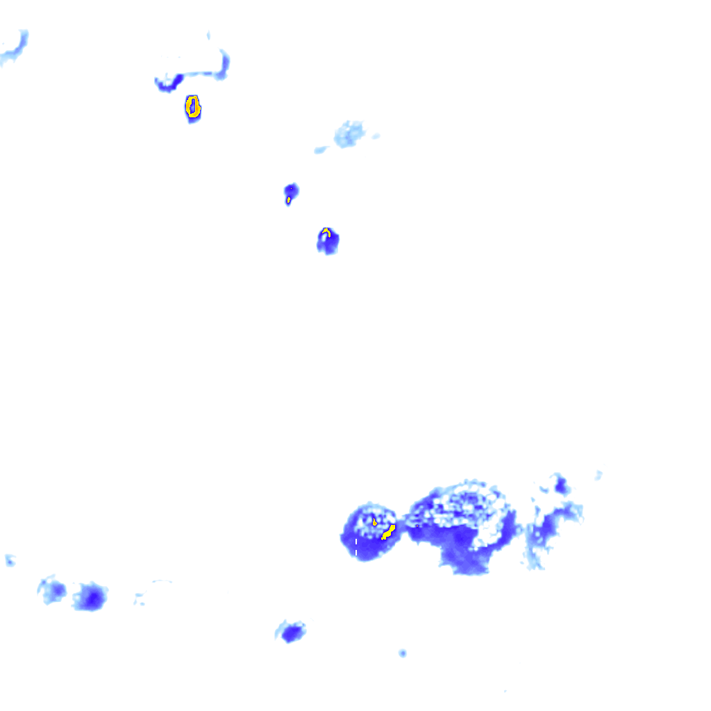 Image Layer