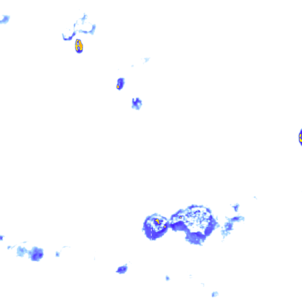 rainLayer