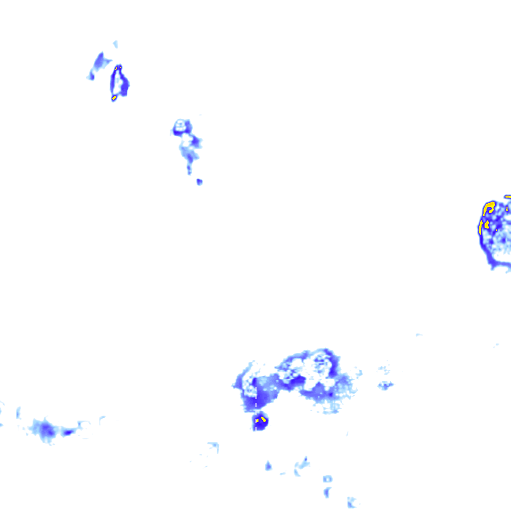 rainLayer
