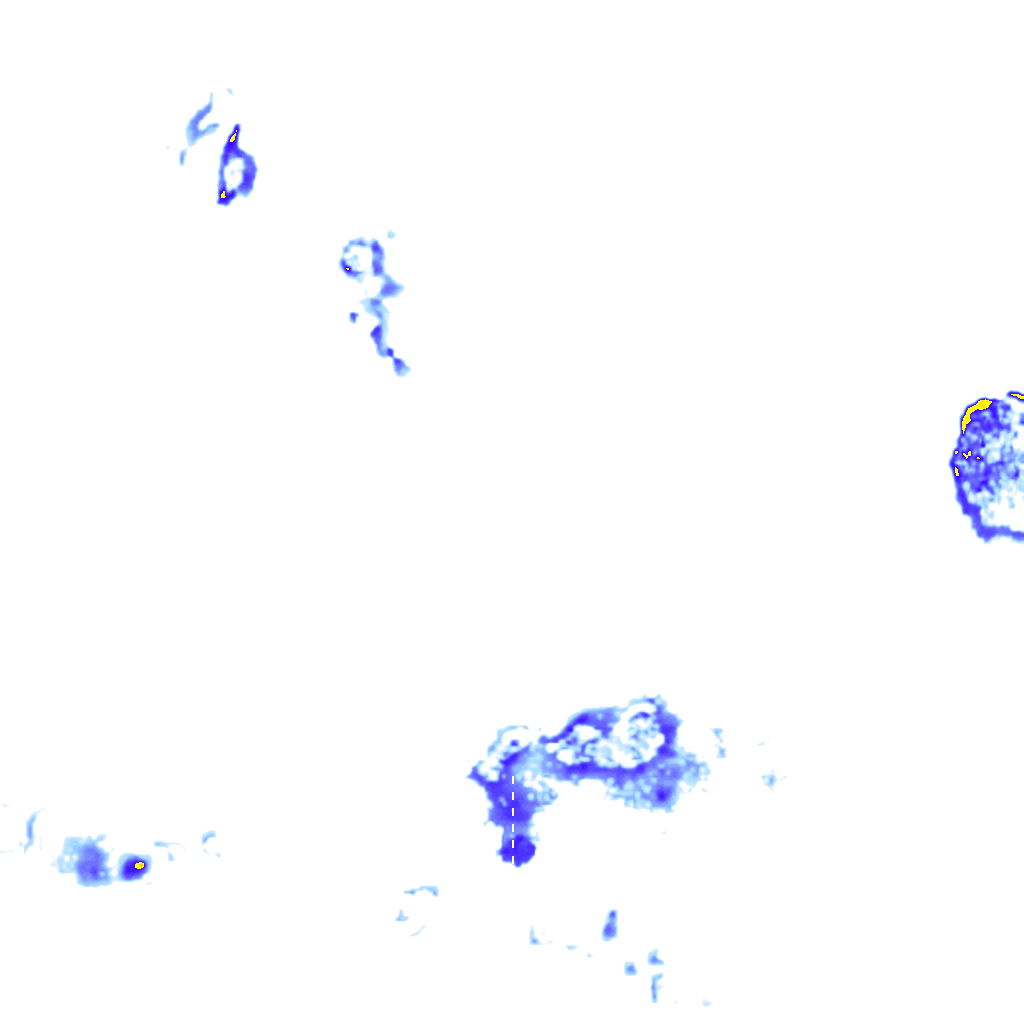 rainLayer