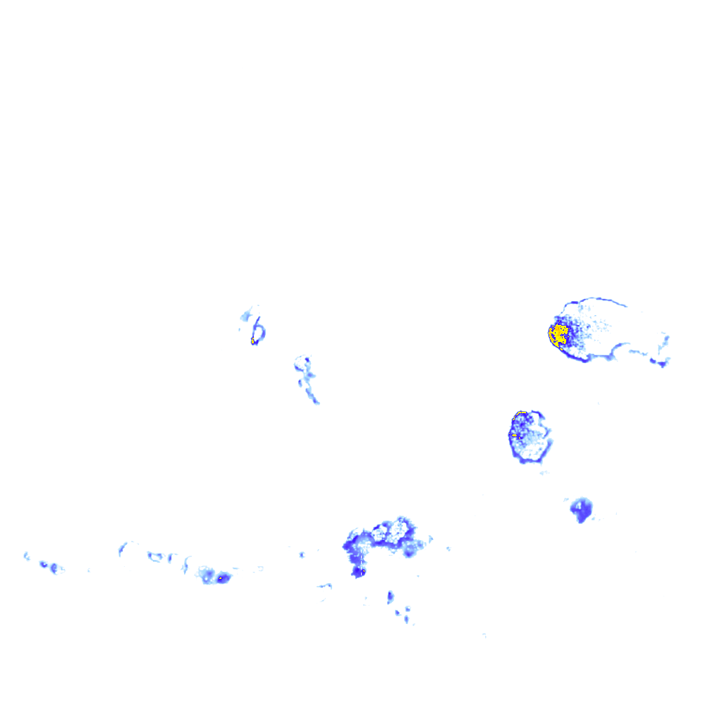 rainLayer