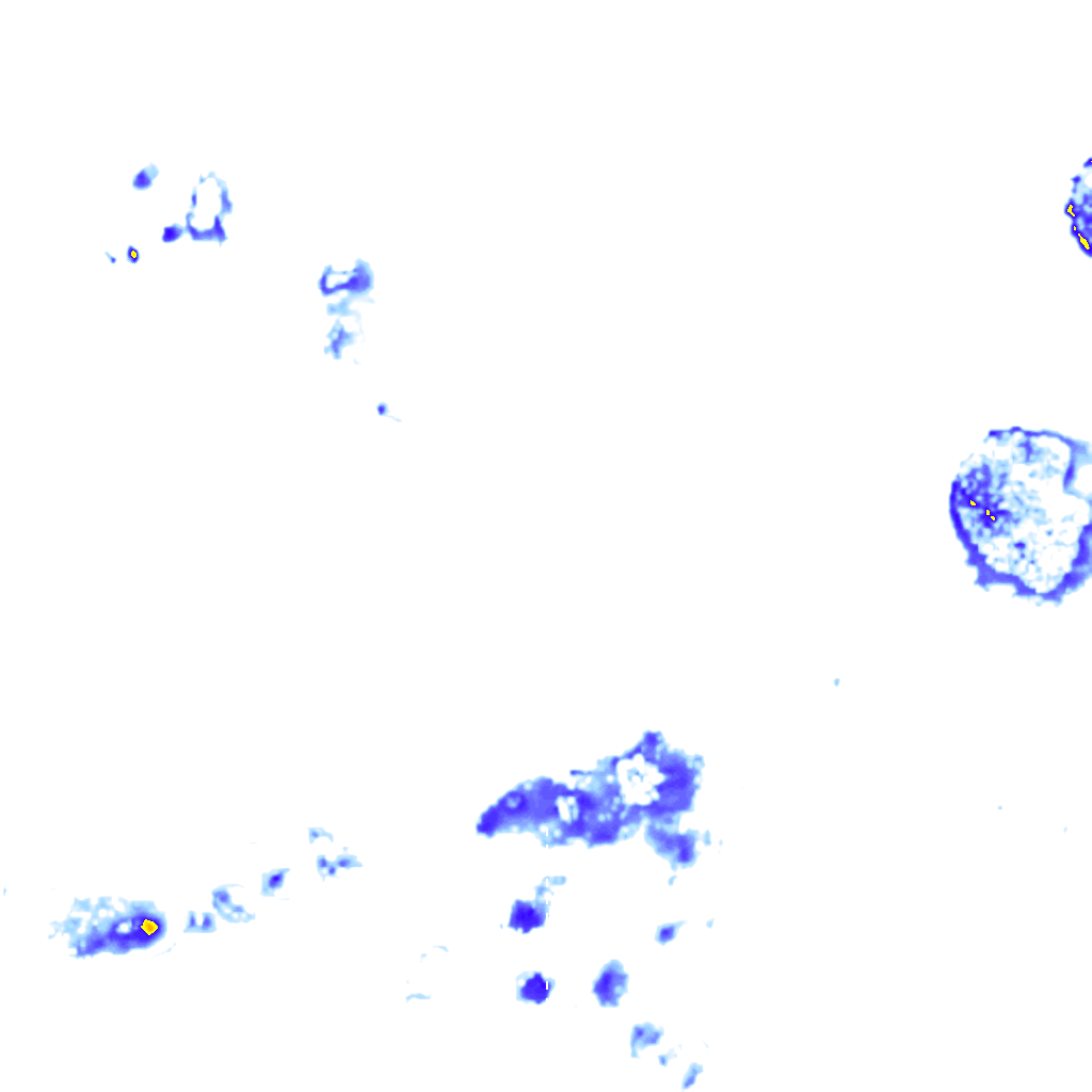 rainLayer