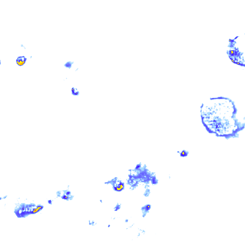 Image Layer
