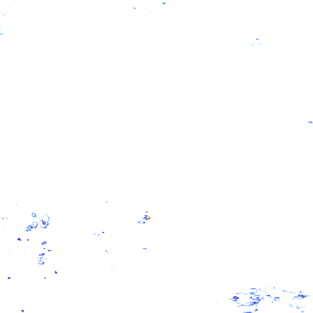 rainLayer