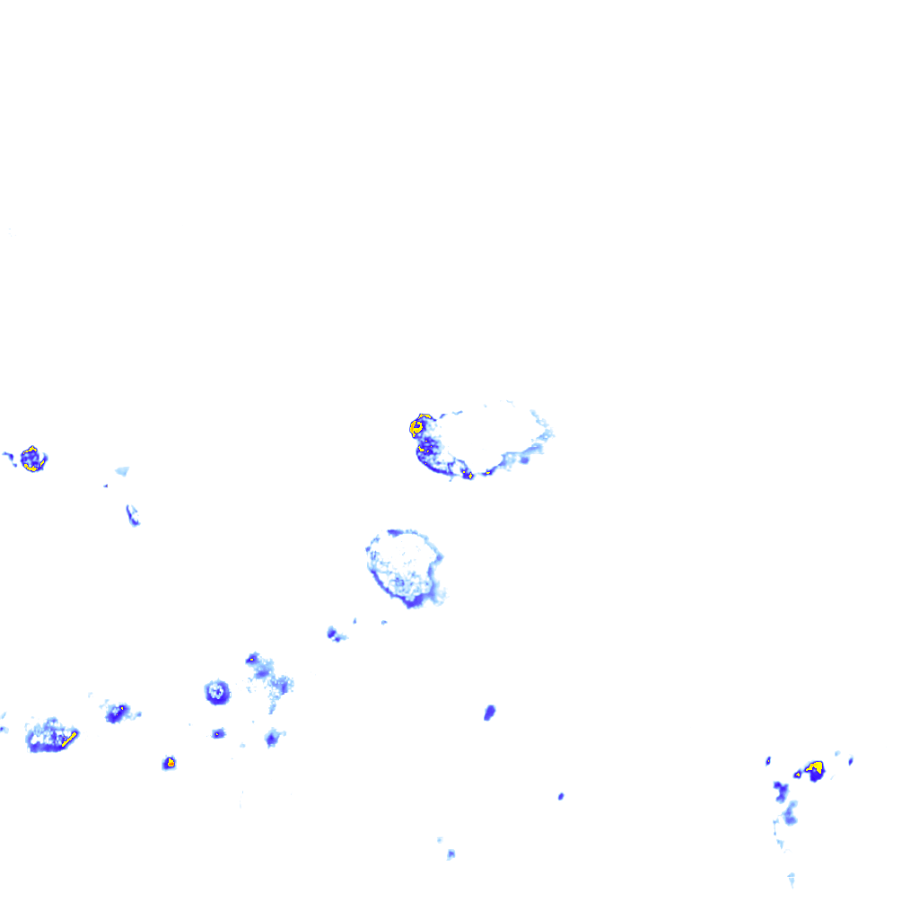 rainLayer
