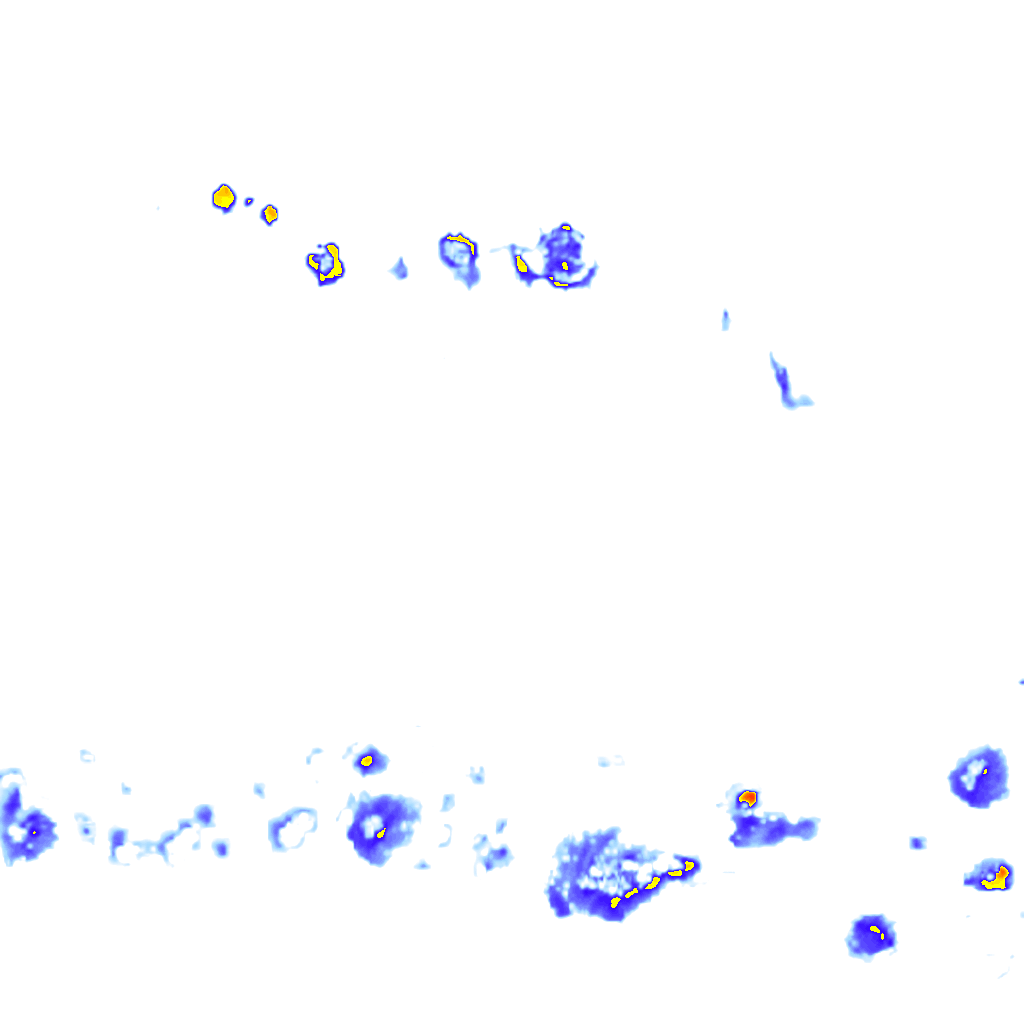 Image Layer