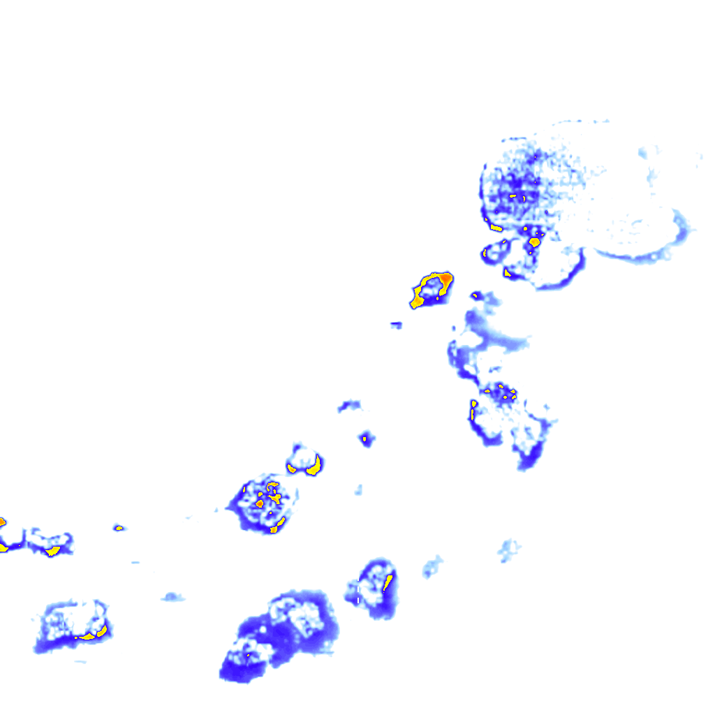 rainLayer