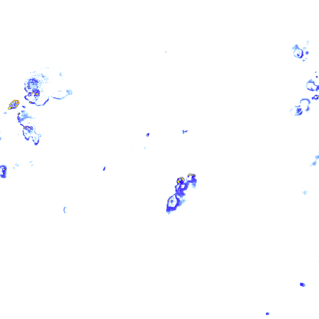 Image Layer