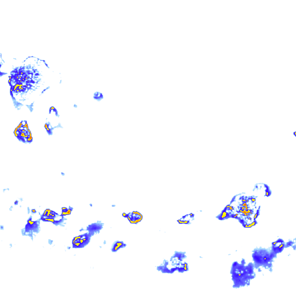 Image Layer