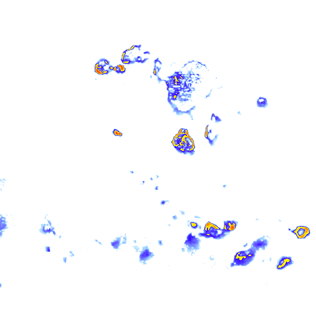 Image Layer
