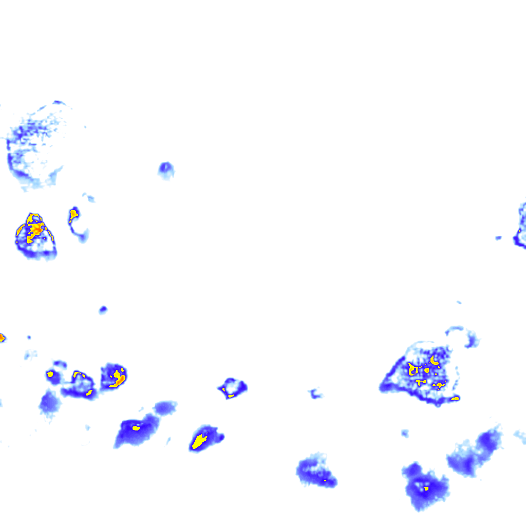 rainLayer