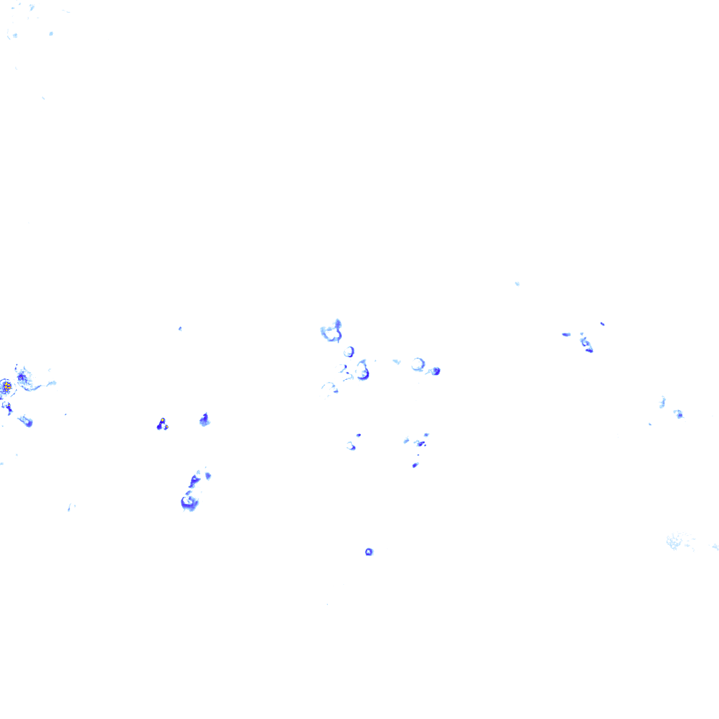 rainLayer
