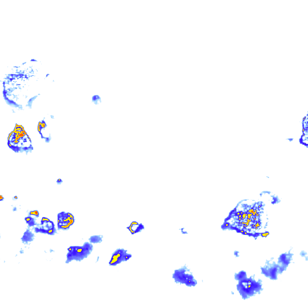 rainLayer