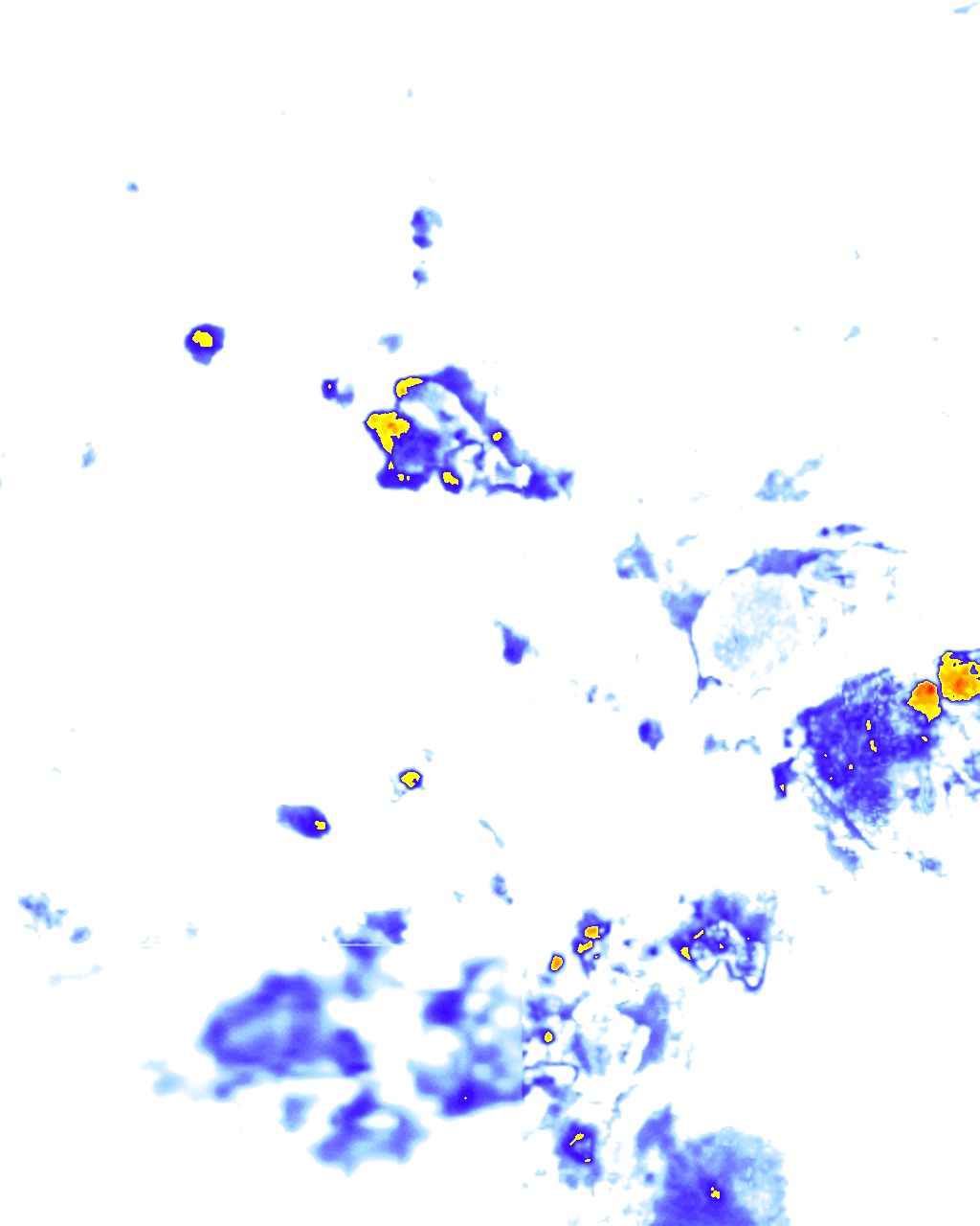 rainLayer