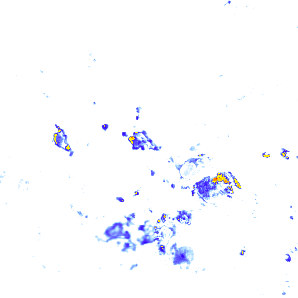 rainLayer