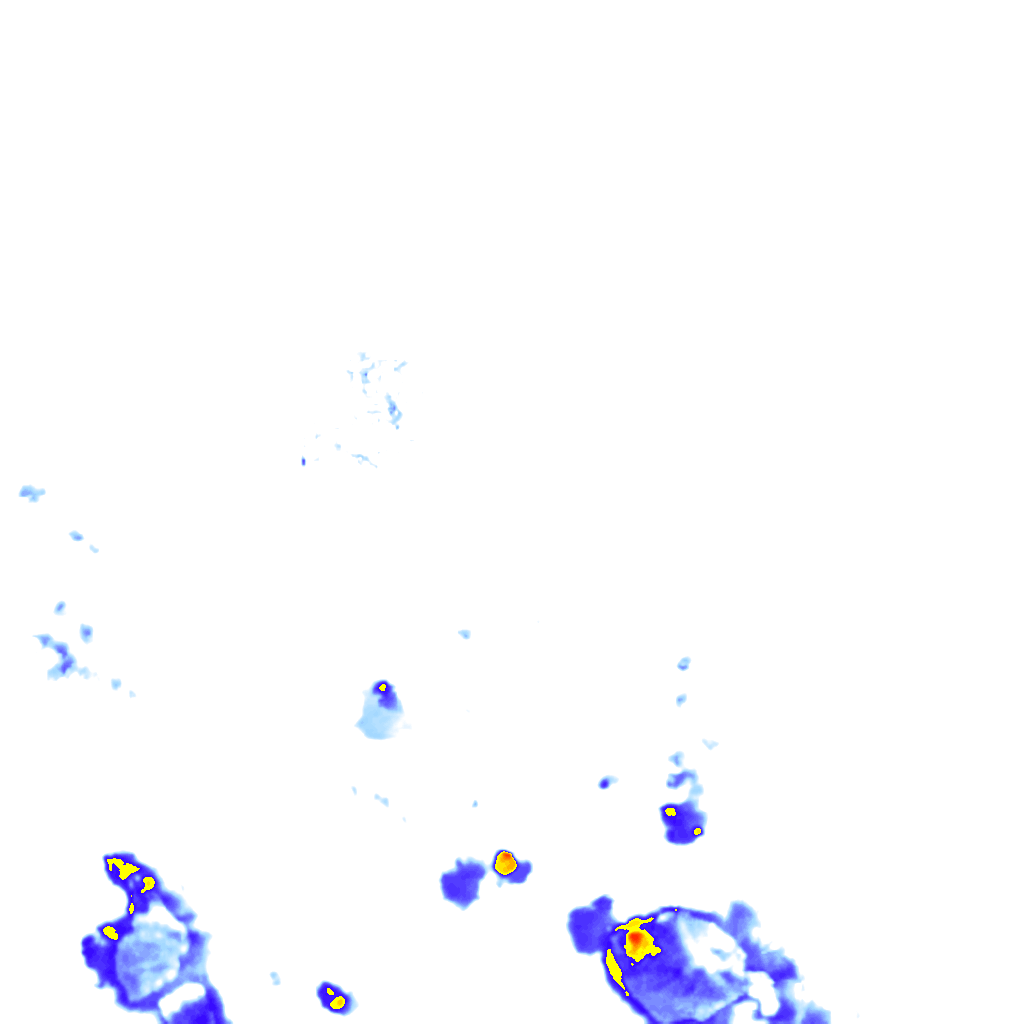 rainLayer