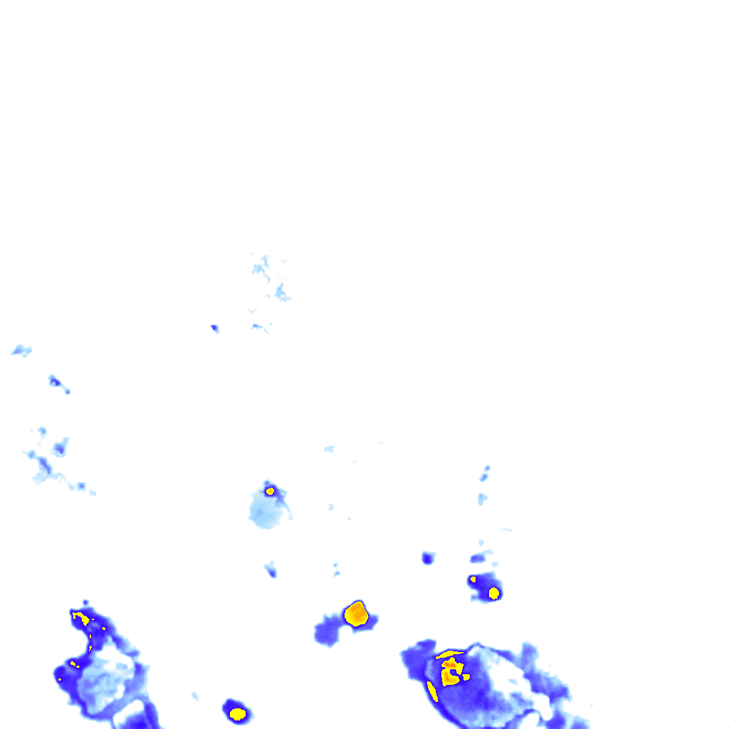 rainLayer
