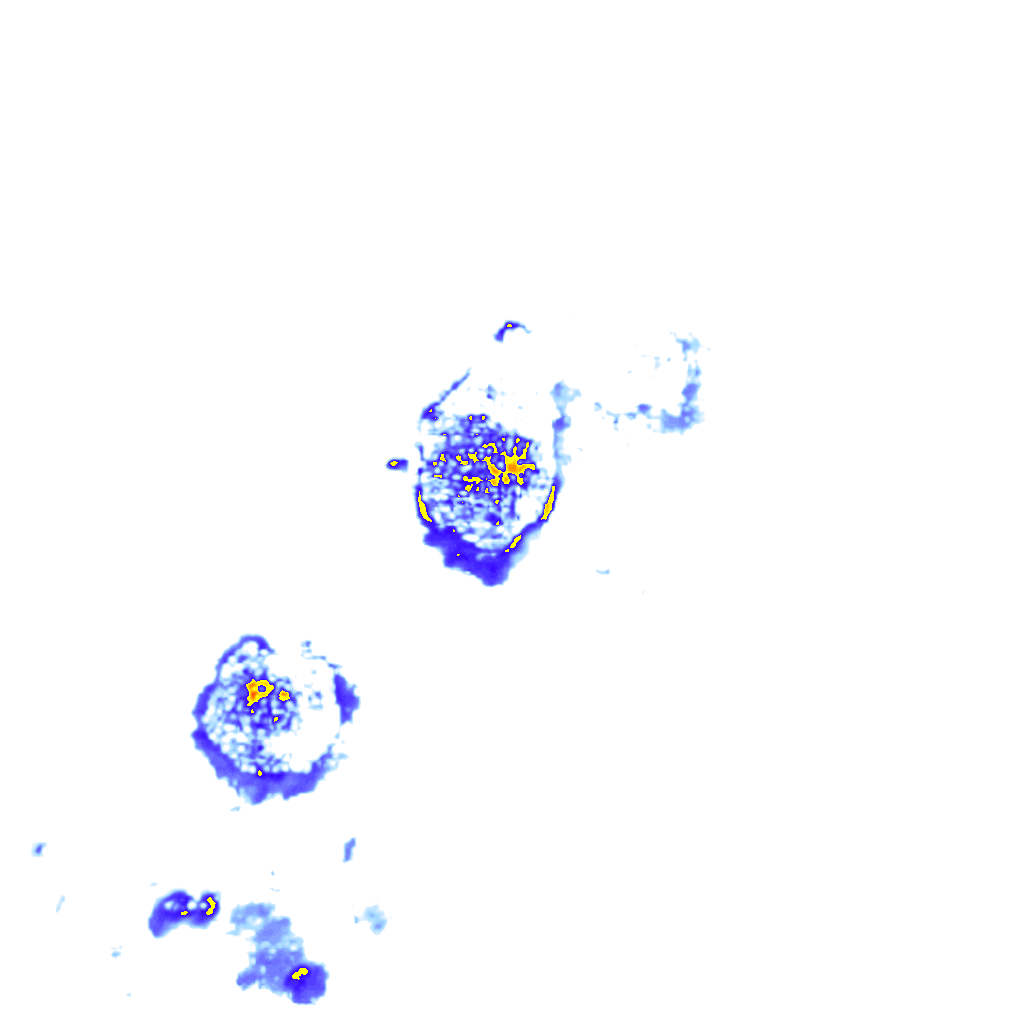 rainLayer