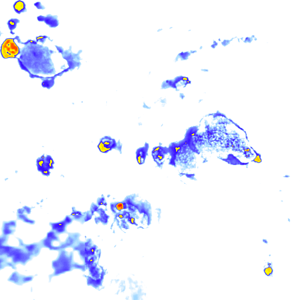 rainLayer