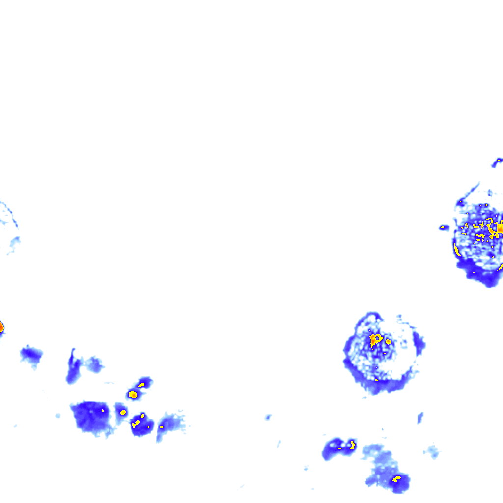 rainLayer