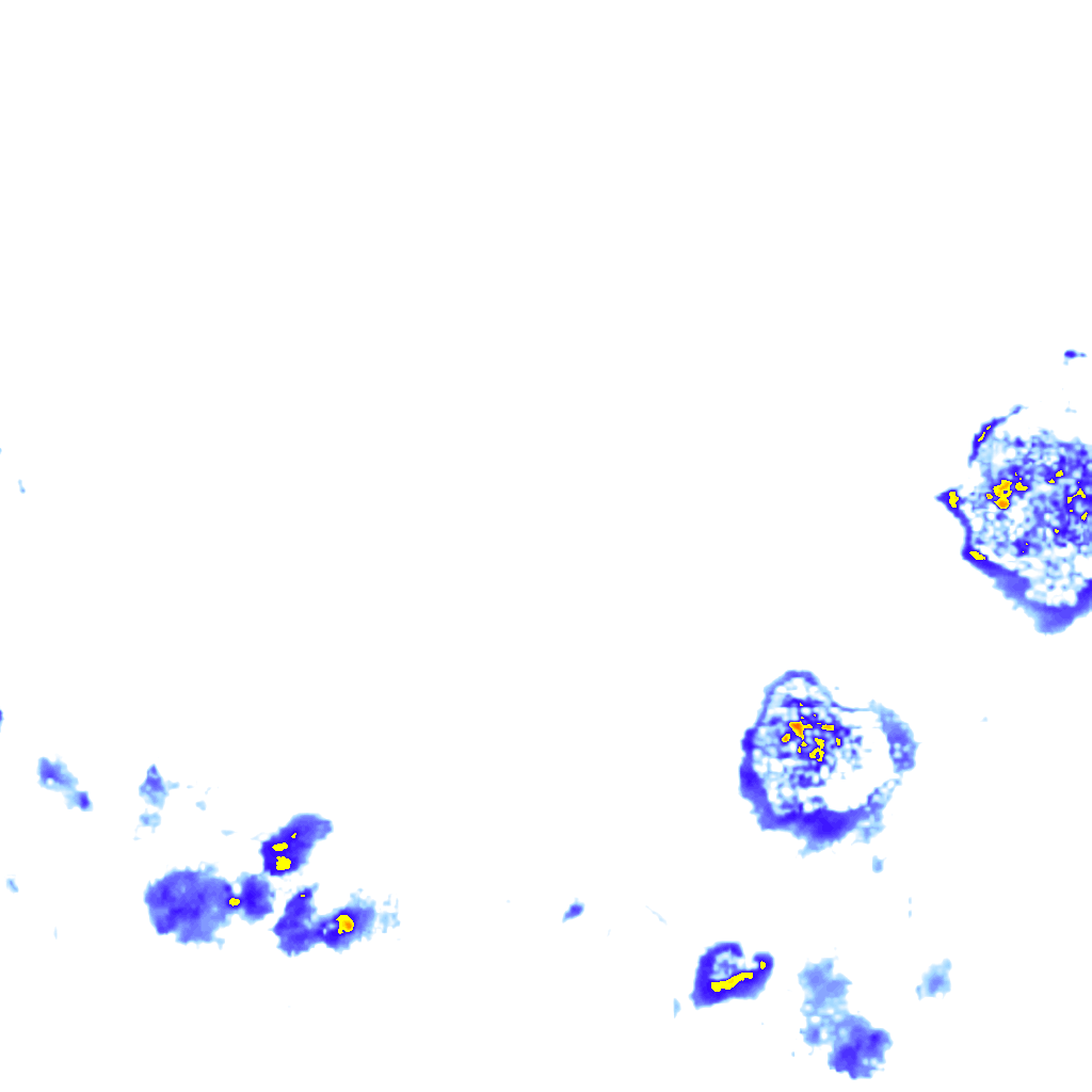 rainLayer